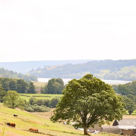 Sandholme Tatil Evi Harrogate